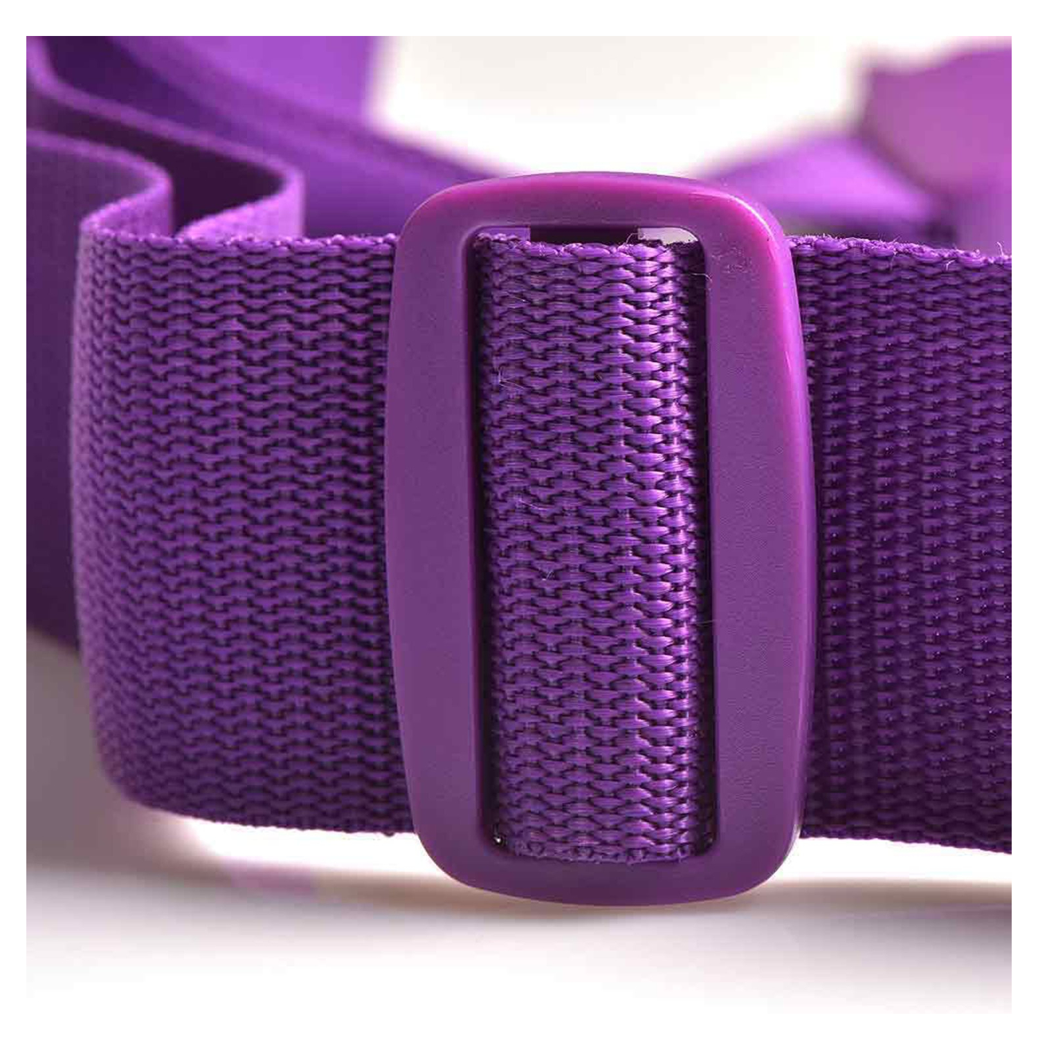 043-purple_3