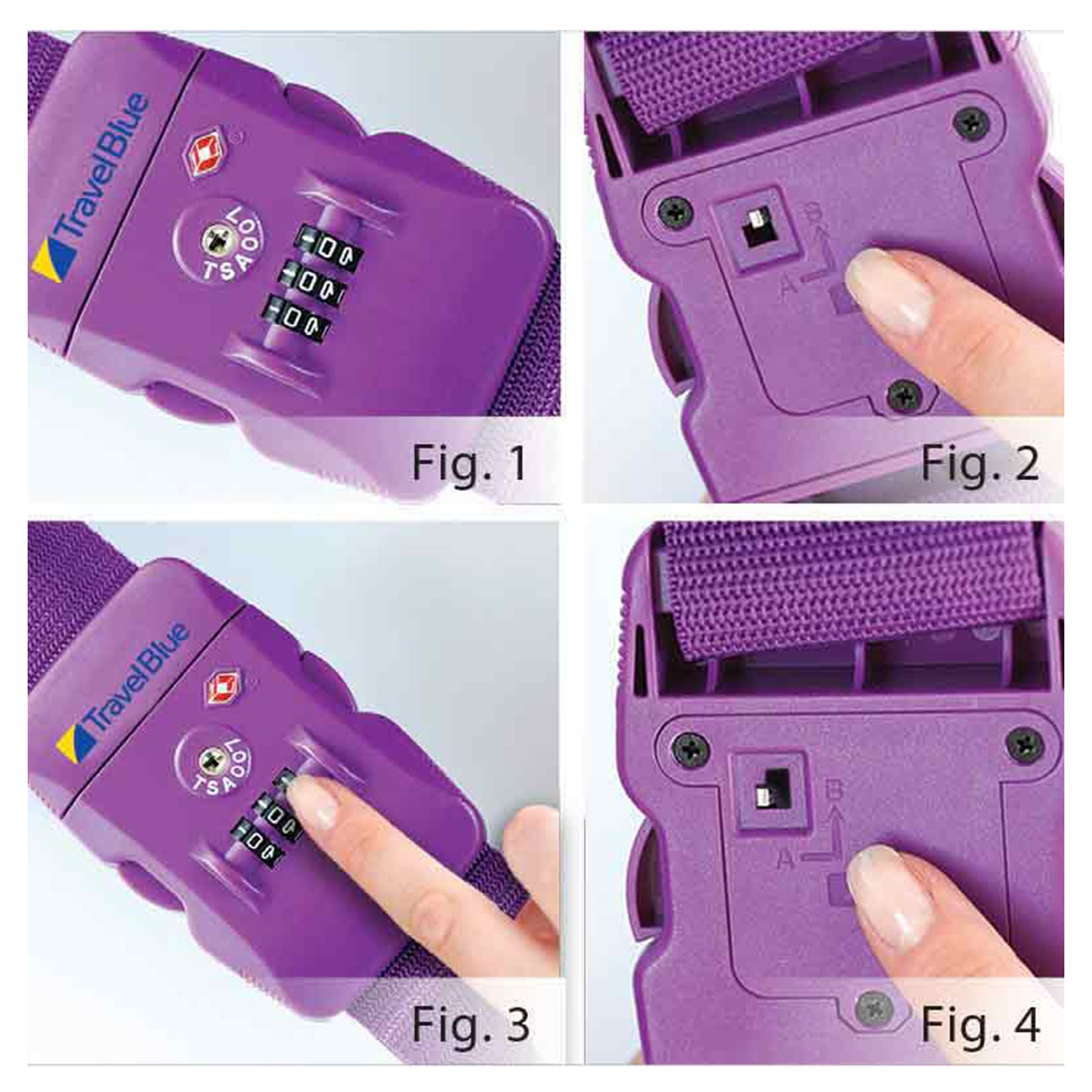 043-purple_4