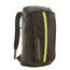 Patagonia Black Hole Pack 25L pine needle green