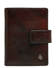 Castelijn & Beerens Rien RFID Mini Wallet 10cc cognac