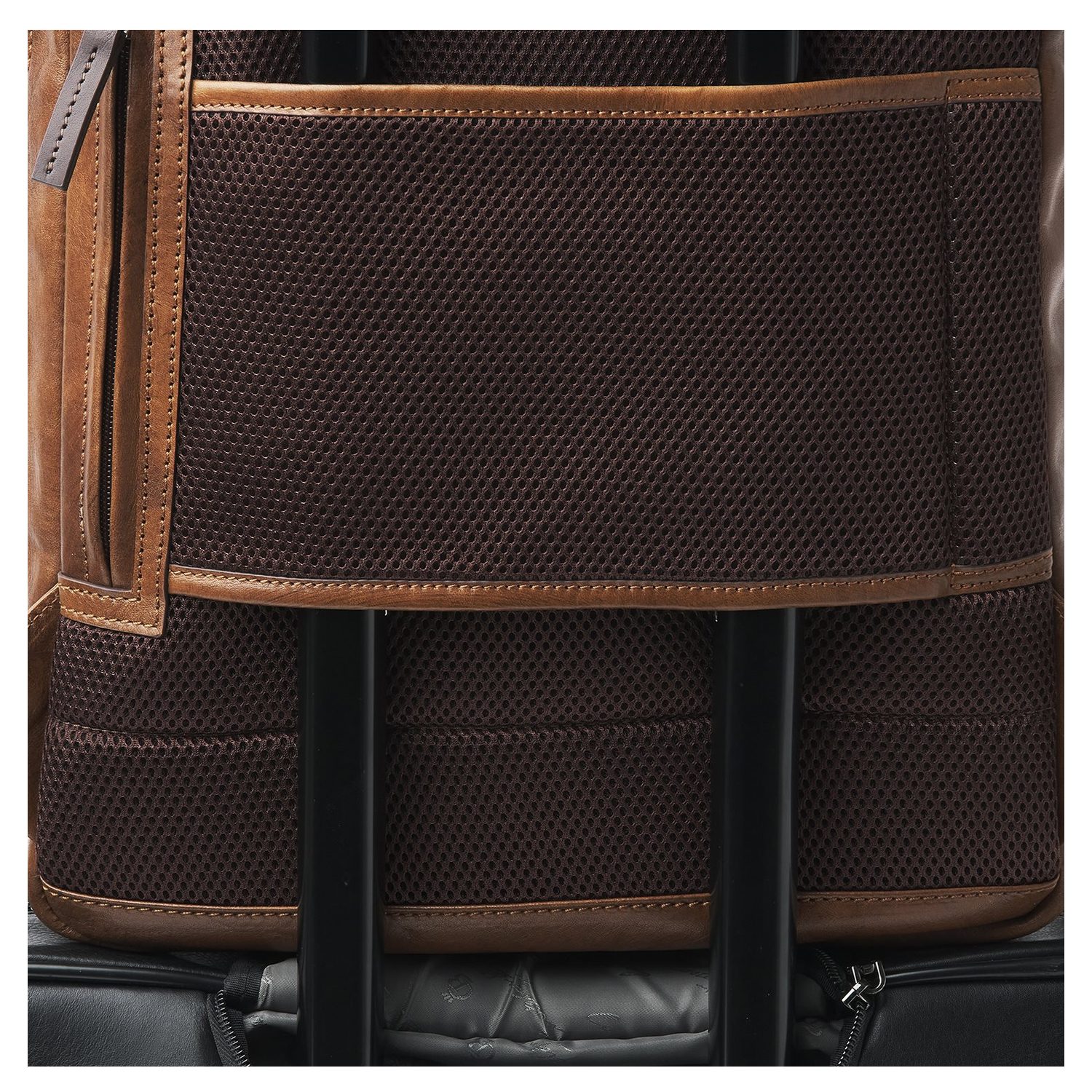 Castelijn & Beerens Rien Laptop Rugzak 15.6" natural