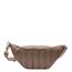 Chabo Diva Bum Bag taupe