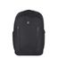 Victorinox Altmont Professional Essentials Laptop Backpack black