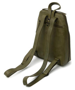 933690olive_3