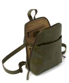 933690olive_4