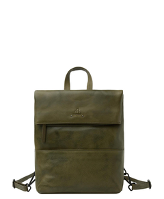 933693olive_1