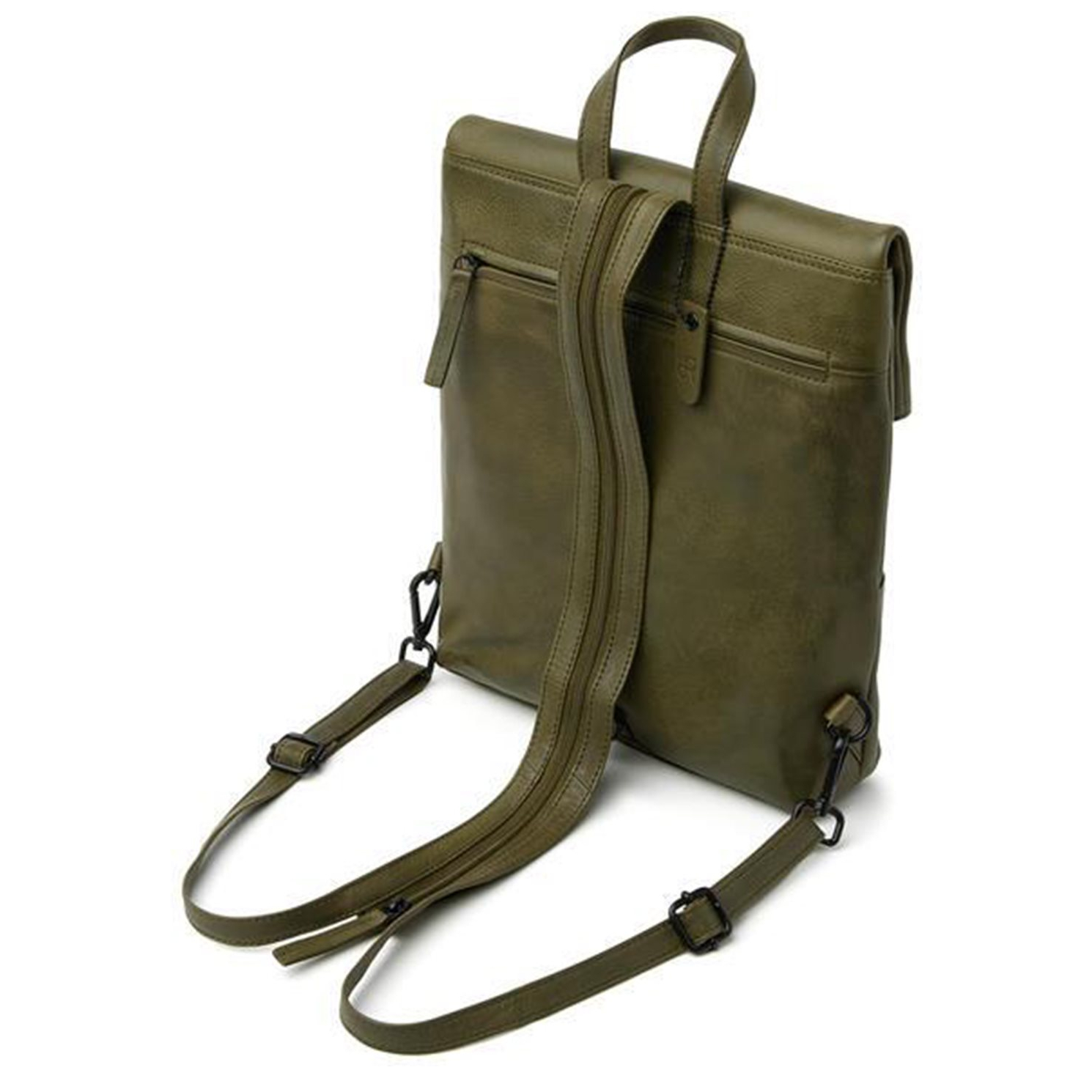 933693olive_3