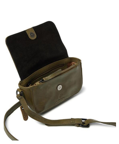 933723olive_4