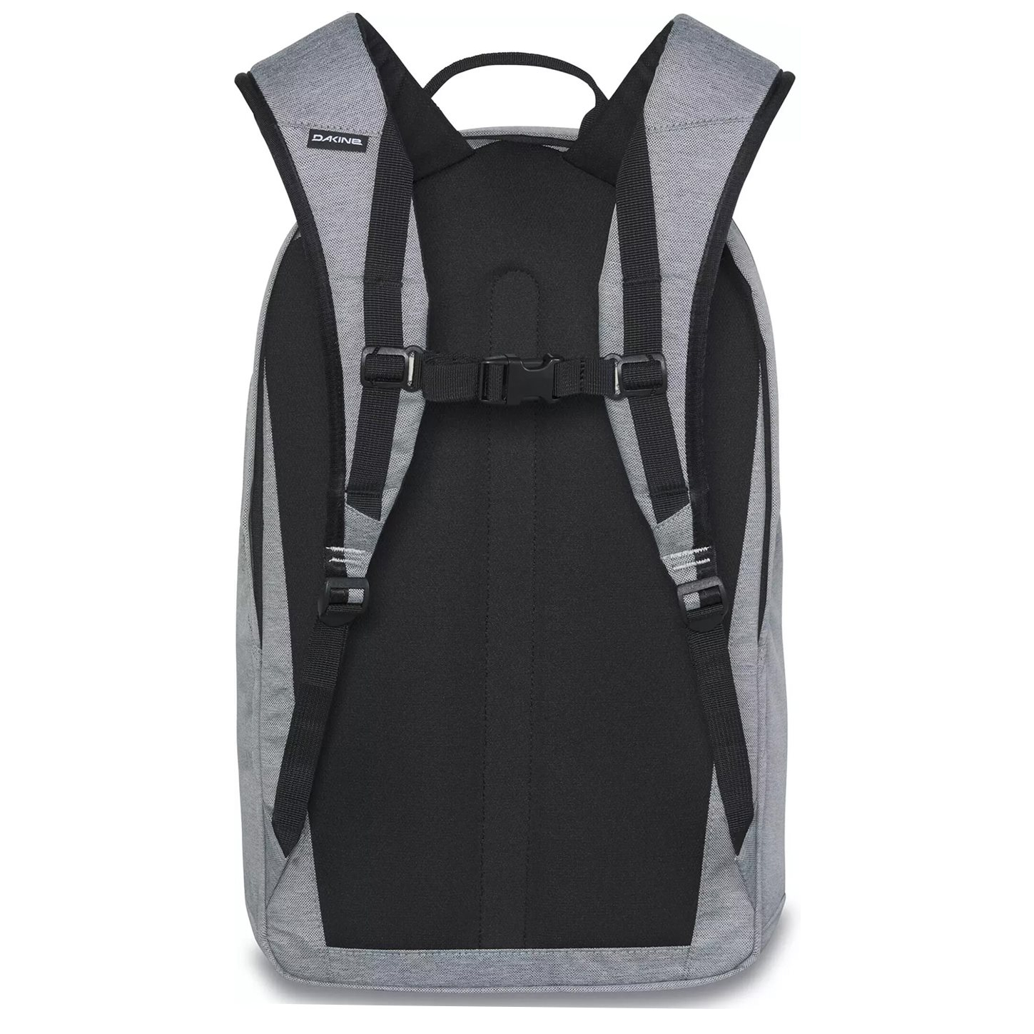 10004003geysergrey_2