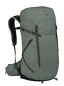 Osprey Sportlite 30 M/L pine leaf green