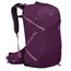 Osprey Sportlite 25 M/L aubergine purple