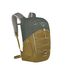 Osprey Quasar green tunnel/brindle brown