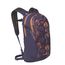 Osprey Daylite wild blossom print/alkaline