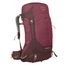 Osprey Sirrus 36 elderberry purple/chiru tan