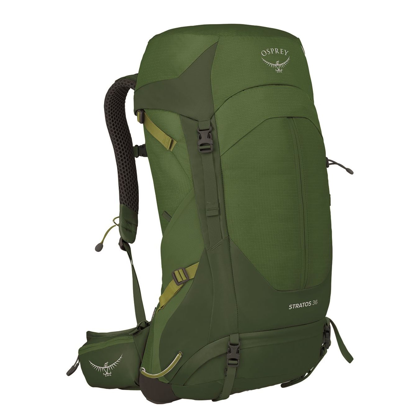 Osprey Stratos 36 rugzak groen