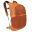 Osprey Daylite Plus umber/tequila sunrise