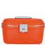 Roncato Beauty Small Beauty Case papaia