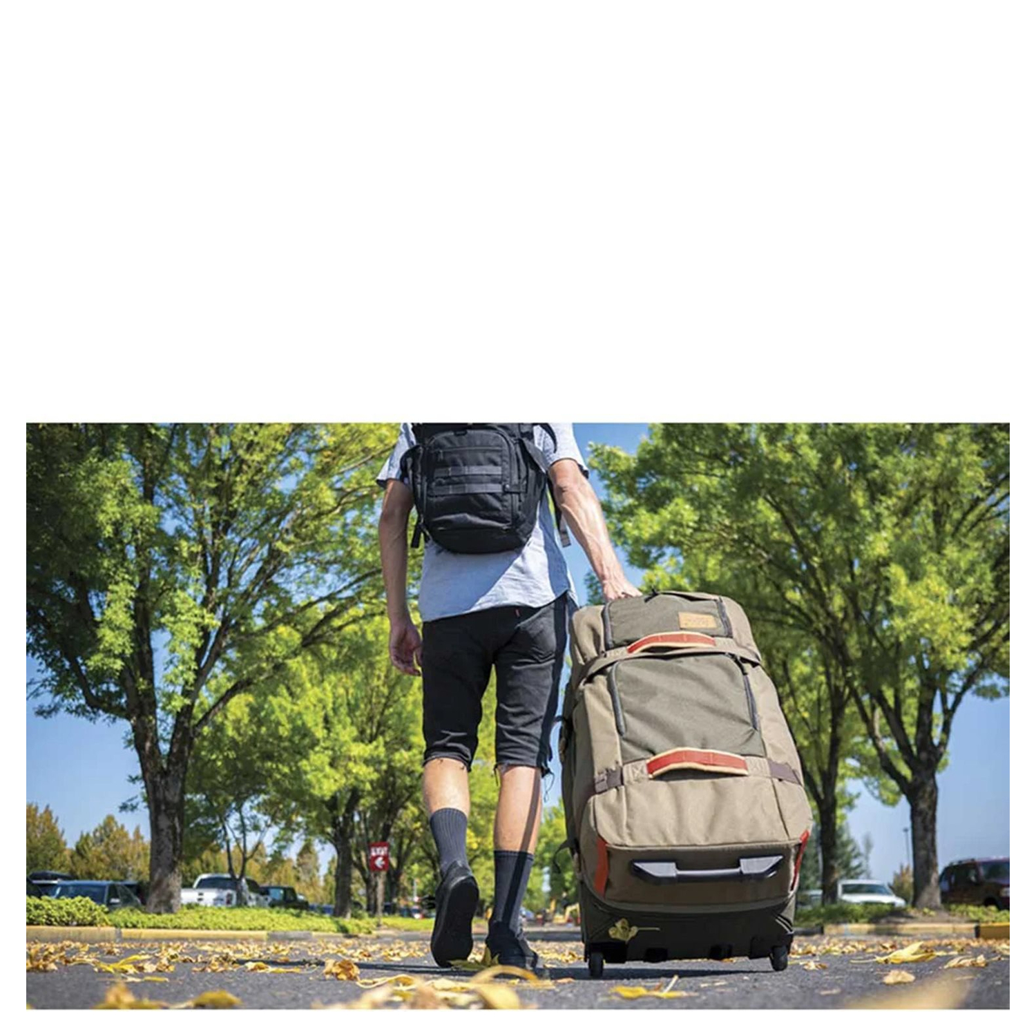 10002942sunsetbloom_2