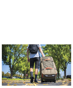 10002942sunsetbloom_2