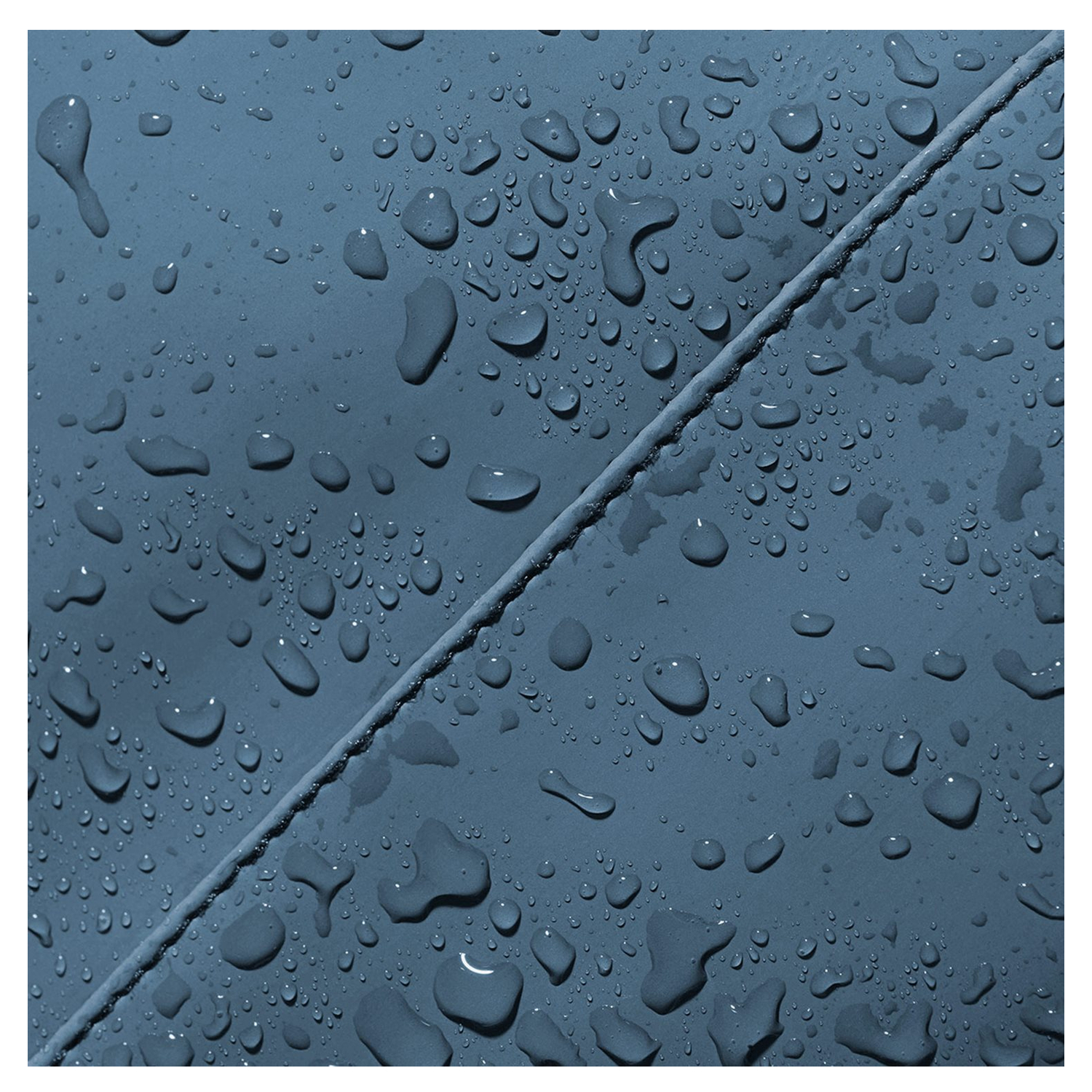 389002856622_14