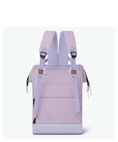 c-abl-ja_10