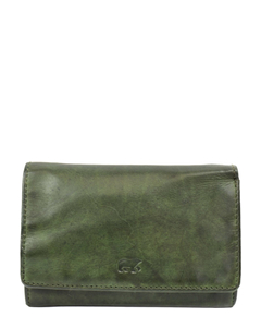 cl15572-green_1