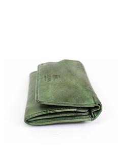 cl15572-green_2