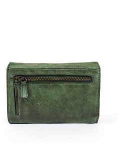cl15572-green_3