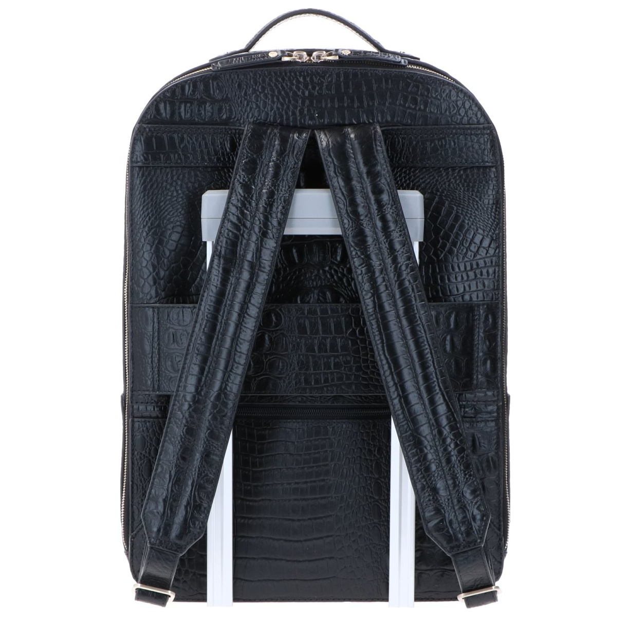 claire15-6-croco-001_4