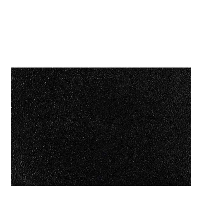 ex-001-black_7