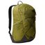 The North Face Rodey Backpack forest olive/new taupe