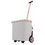 Reisenthel Shopping Carrycruiser frame twist sky rose