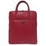 Gigi Fratelli Shopper/Backpack 15.6" red