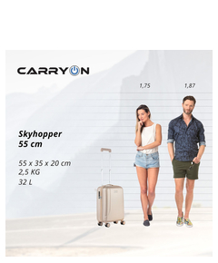 setskyhopperchampagne_3