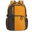 Samsonite BIZ2GO Laptop Backpack 15.6'' Daytrip radient yellow