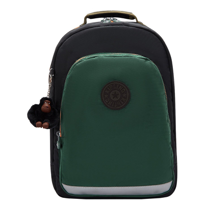 Kipling Class Room tree house bl