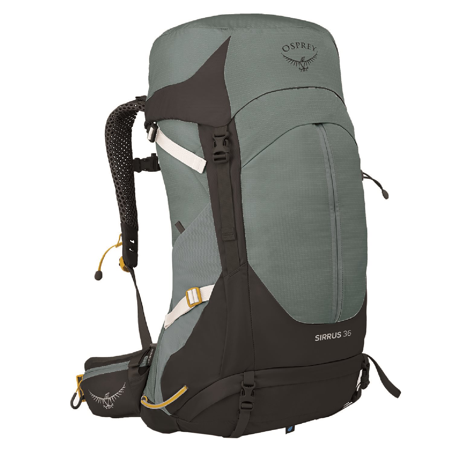 Osprey Sirrus 36 Backpack succulent green backpack