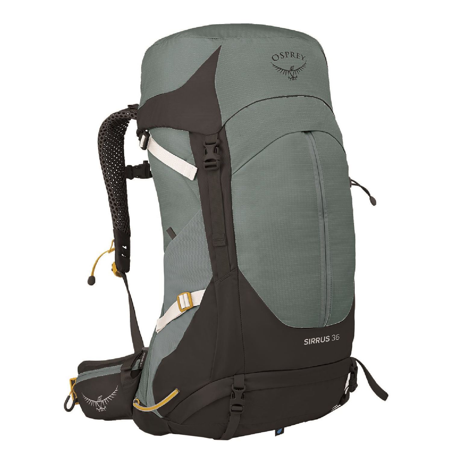 Osprey Sirrus 36 rugzak groen
