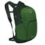 Osprey Daylite Plus green belt/green canopy