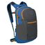 Osprey Daylite Plus Earth dark charcoal-blue flame