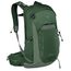 Osprey Talon 22 green canopy-pine leaf