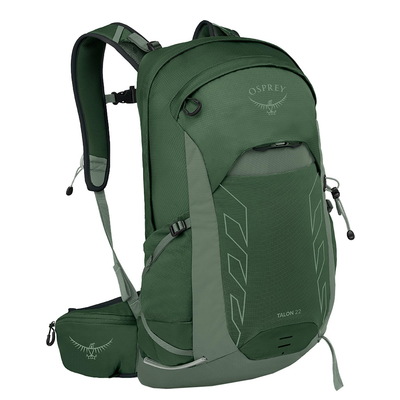 Osprey Talon 22 green canopy-pine leaf