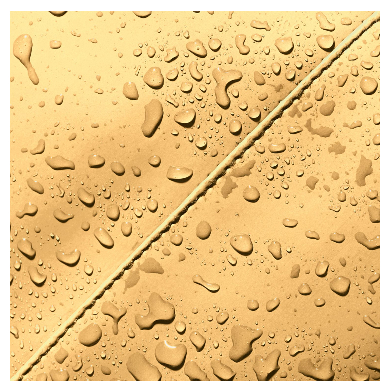 105311li44225_12