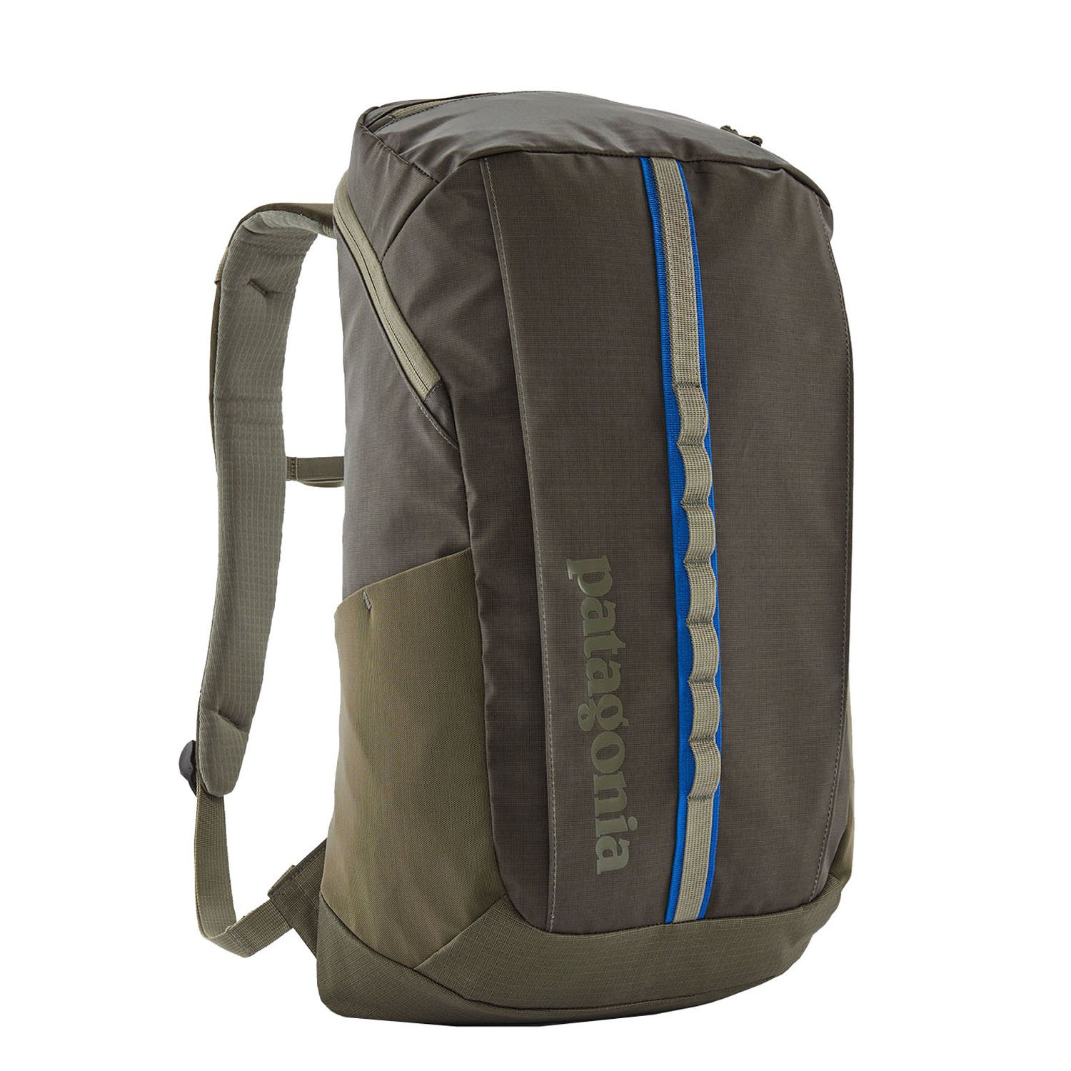 Patagonia Black Hole Pack 25L basin green rugzak