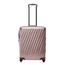 Tumi 19 Degree Lite Continental Carry-On blush