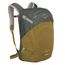 Osprey Nebula green tunnel/brindle brown