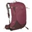 Osprey Sirrus 24 Backpack purple/chiru tan