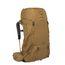 Osprey Rook 50 histosol brown/rhino grey