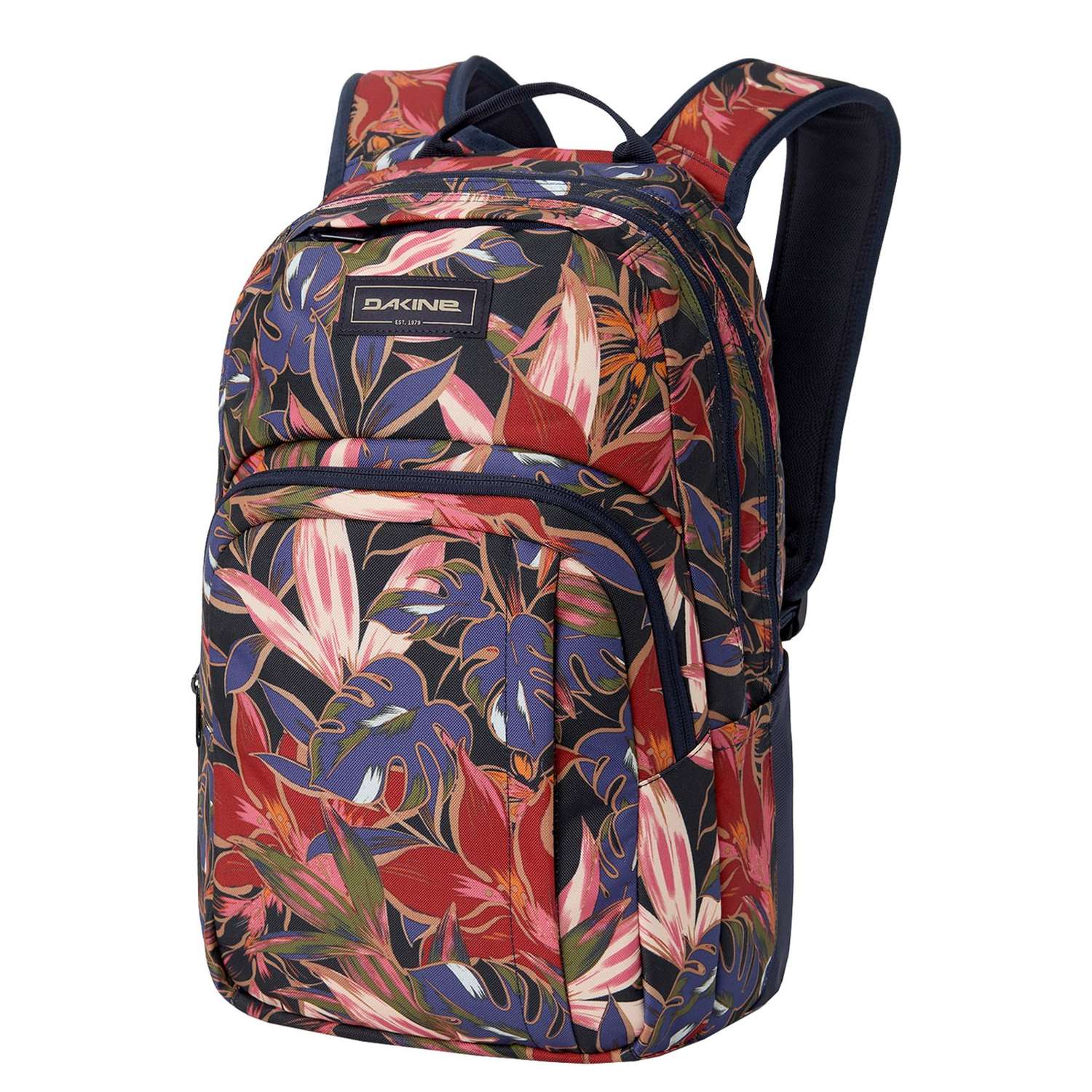 10004337darkstargazer_1