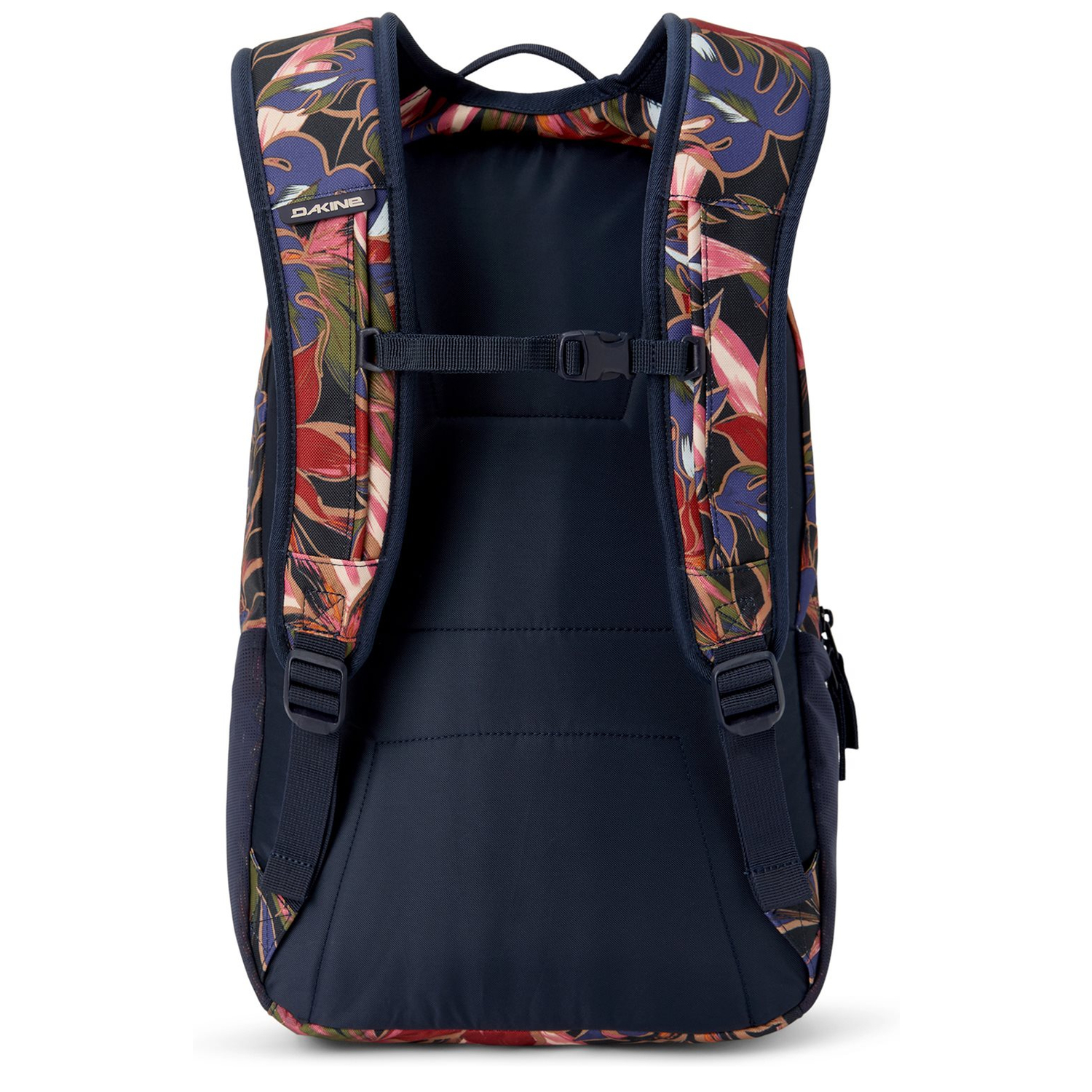 10004337darkstargazer_2